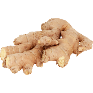 Jumbo Biologische Verse Gember