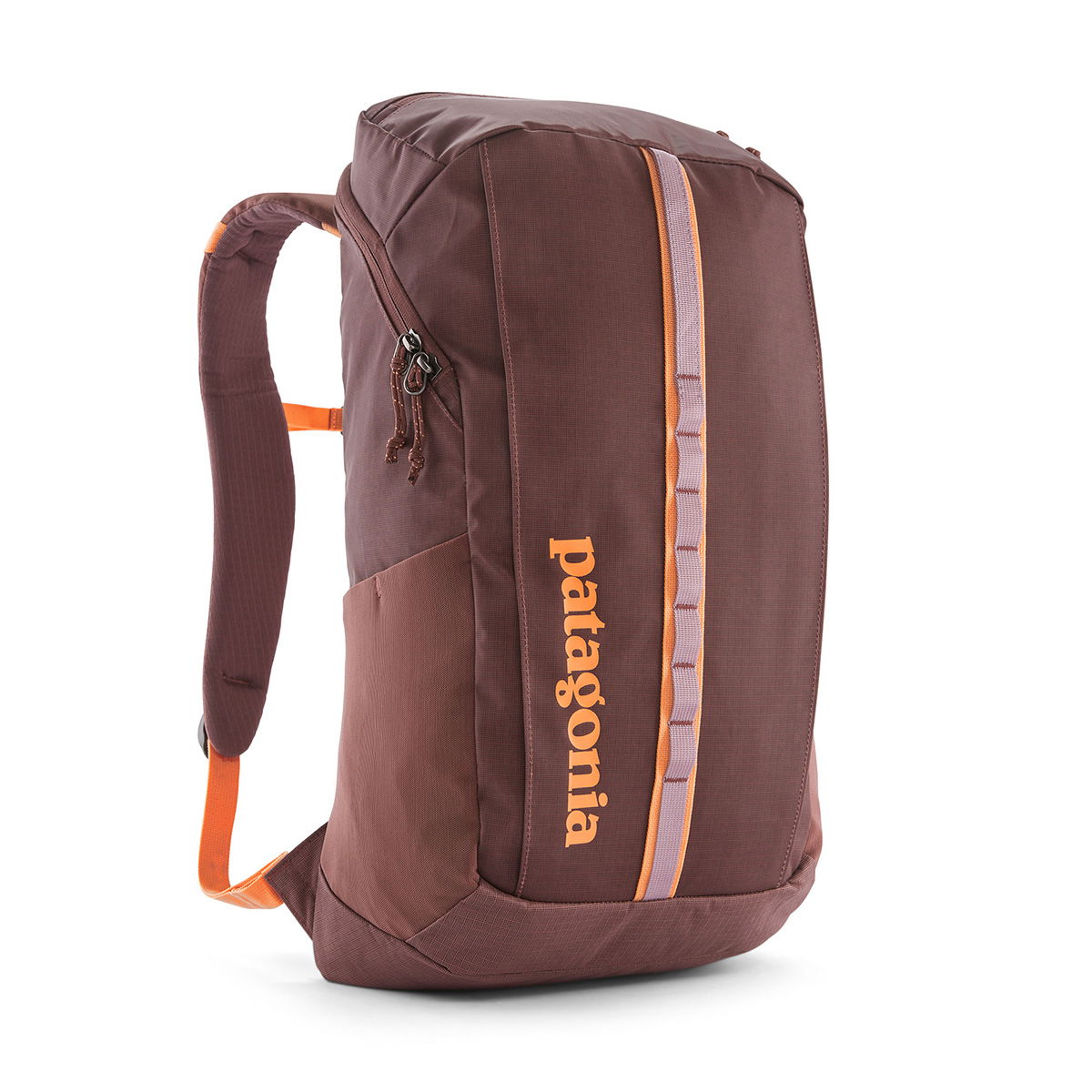 Patagonia Black Hole Pack 25 ltr. rygsæk