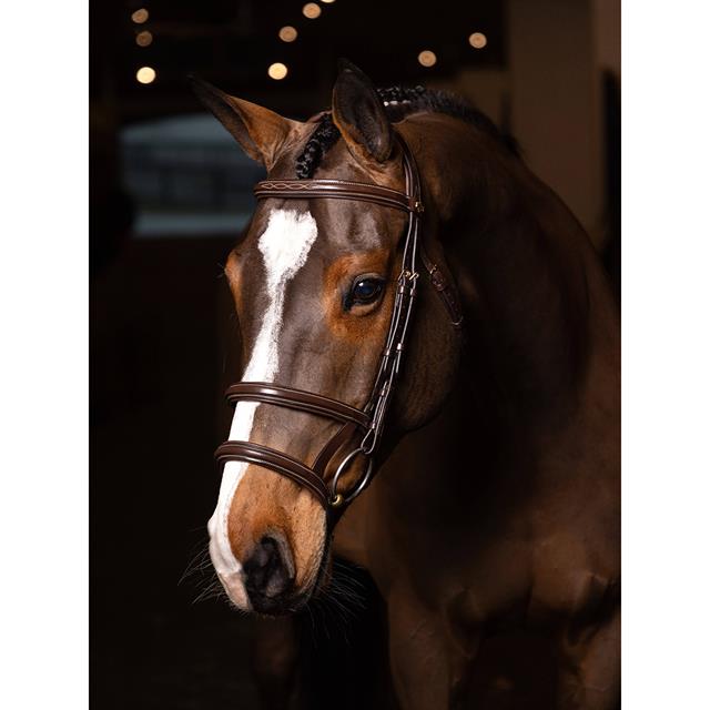 Hoofdstel LeMieux Kudos Double Noseband Bruin-goud