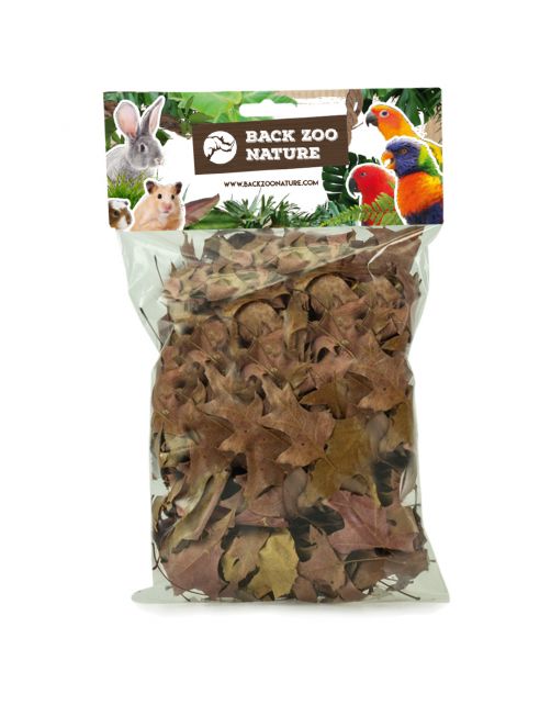 Back Zoo Nature Discovery Leaves - Natuurlijk Speelgoed - ca. 35 tot 50 g