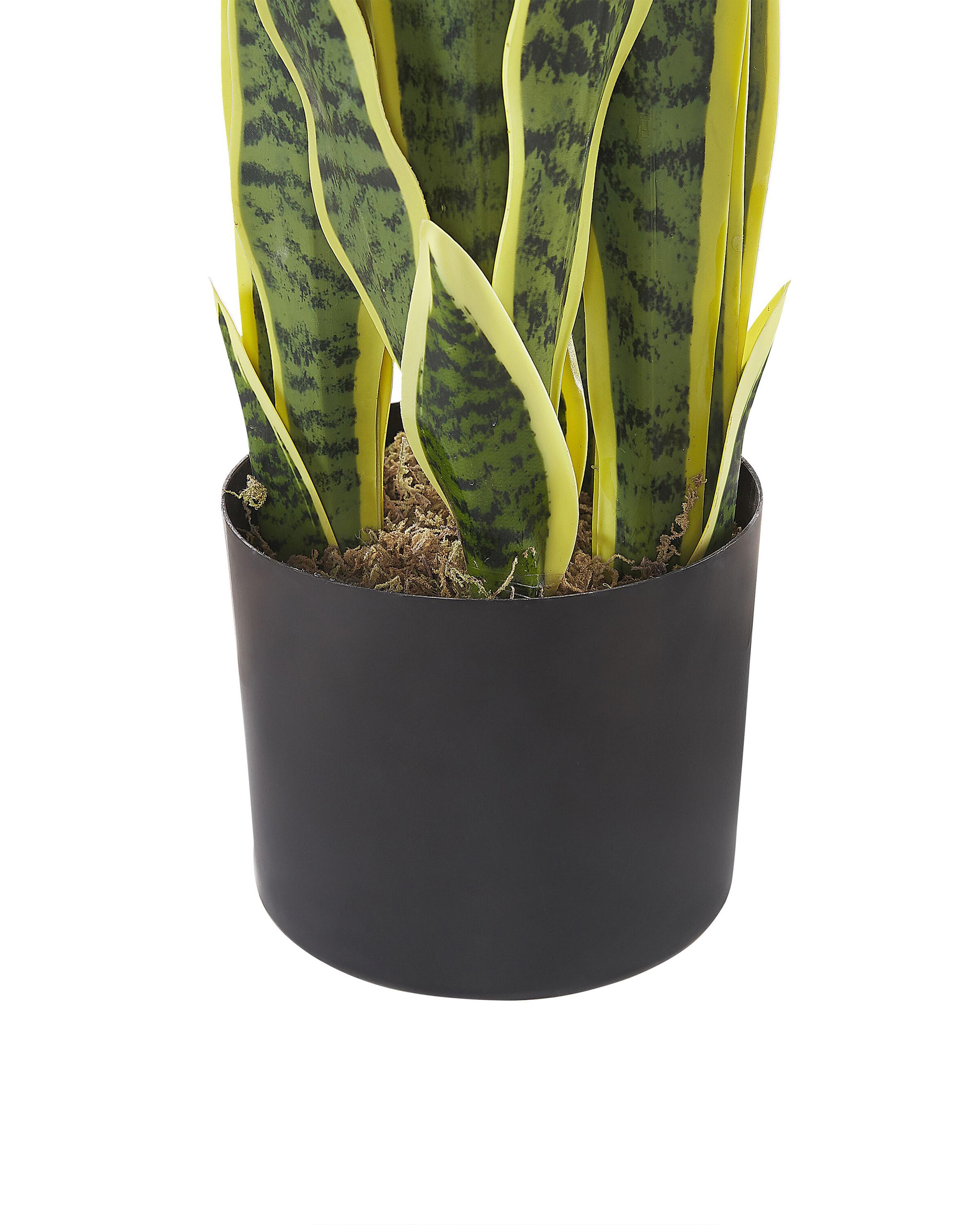 Kunstplant SNAKE PLANT 63 cm Groen