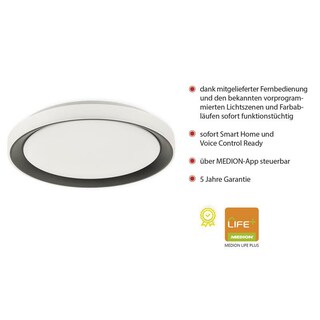 Disc Deckenleuchte Schwarz dimmbar Durchmesser 51cm