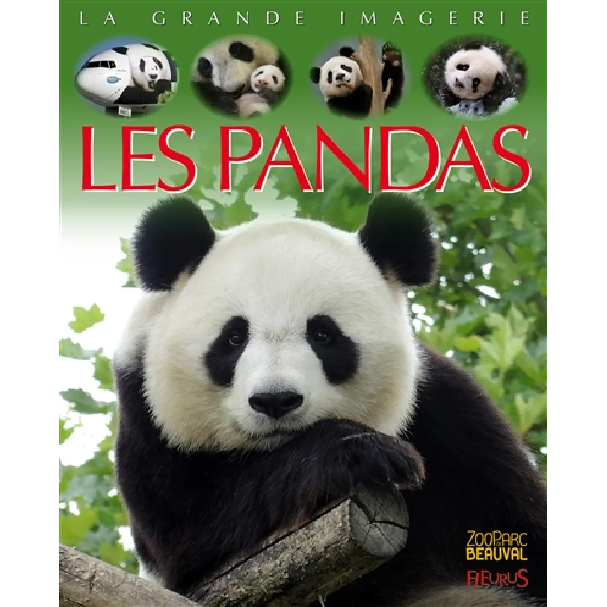 Les pandas · Occasion