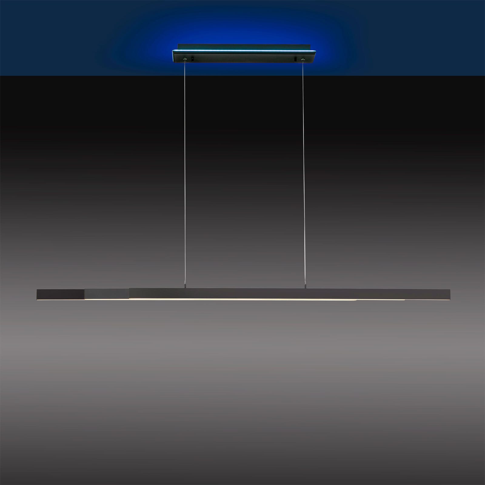 Paul Neuhaus LED Pendellampe Q-ARIAN 179 cm