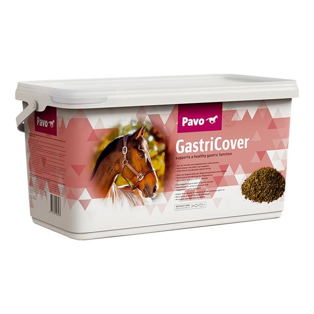 Pavo GastriCover