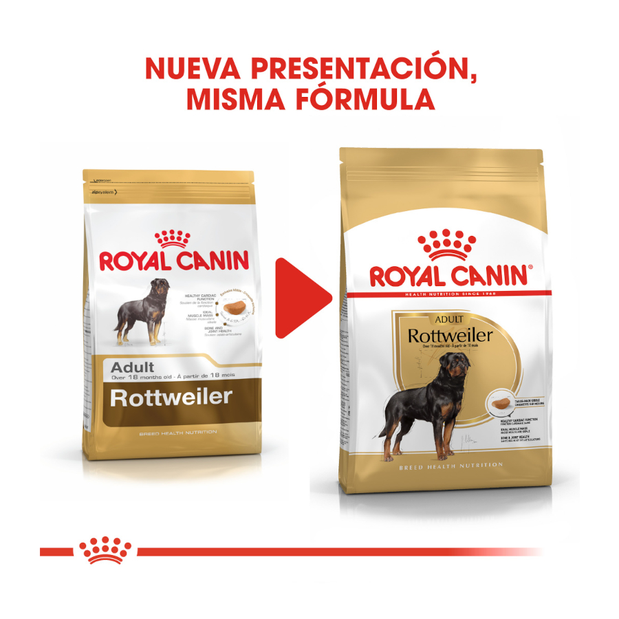 Ração Royal Canin para cães adultos da raça Rottweiler