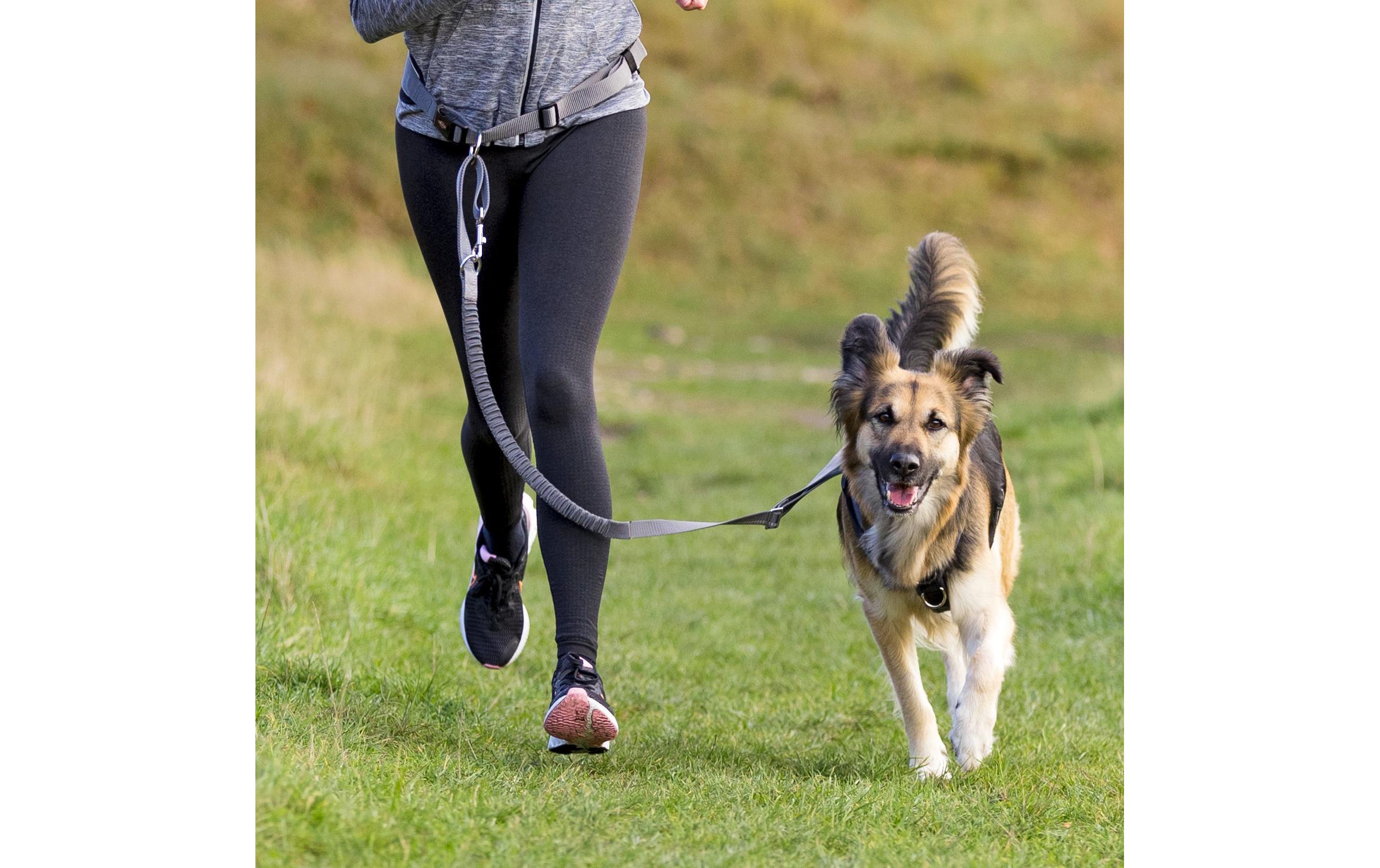 Joggingleine Bauchgurt mit Leine M, Grafit-SchwarzBauchgurt mit Leine für mittelgrosse bis grosse Hunde