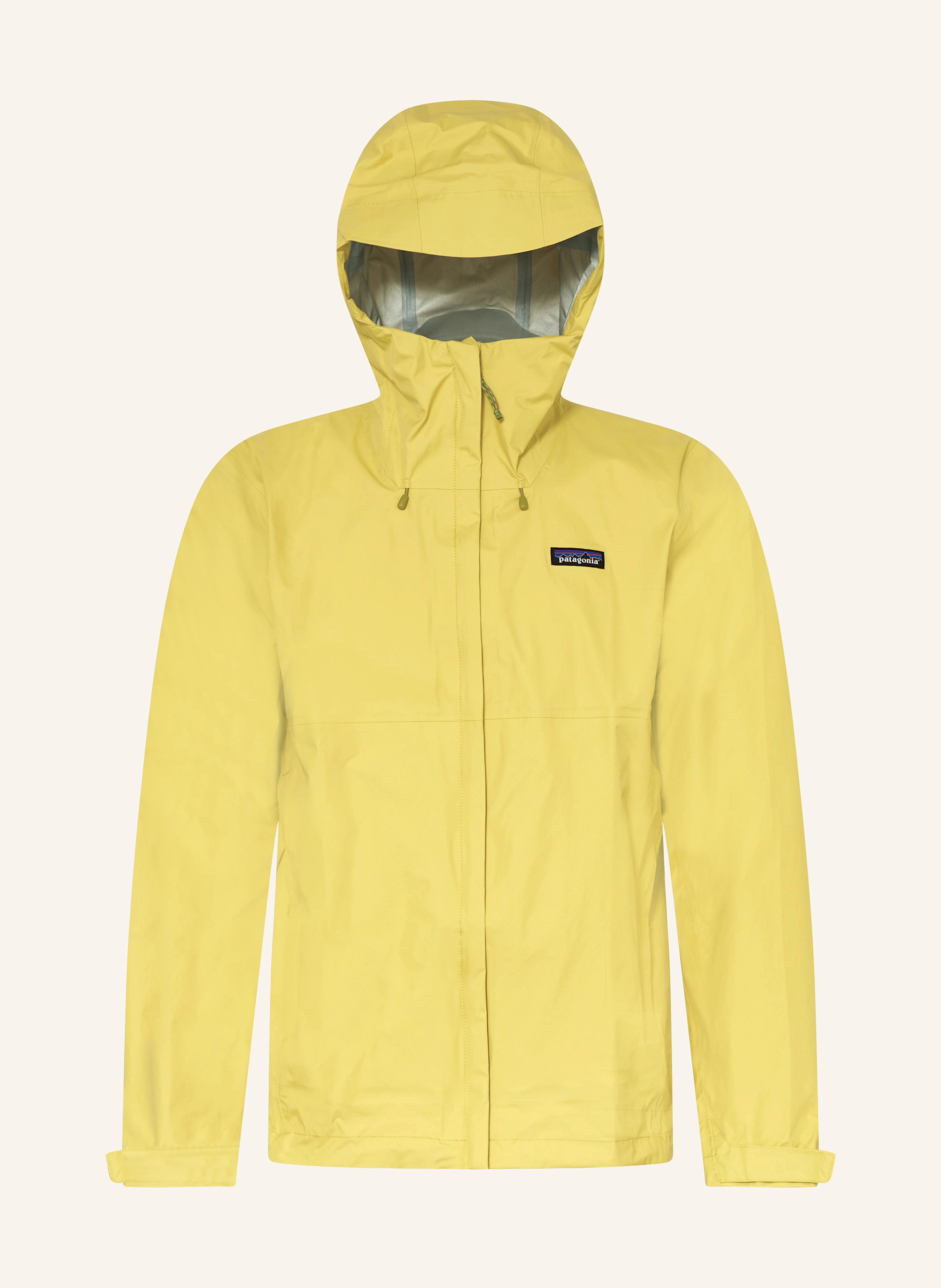 patagonia Funktionsjacke TORRENTSHELL