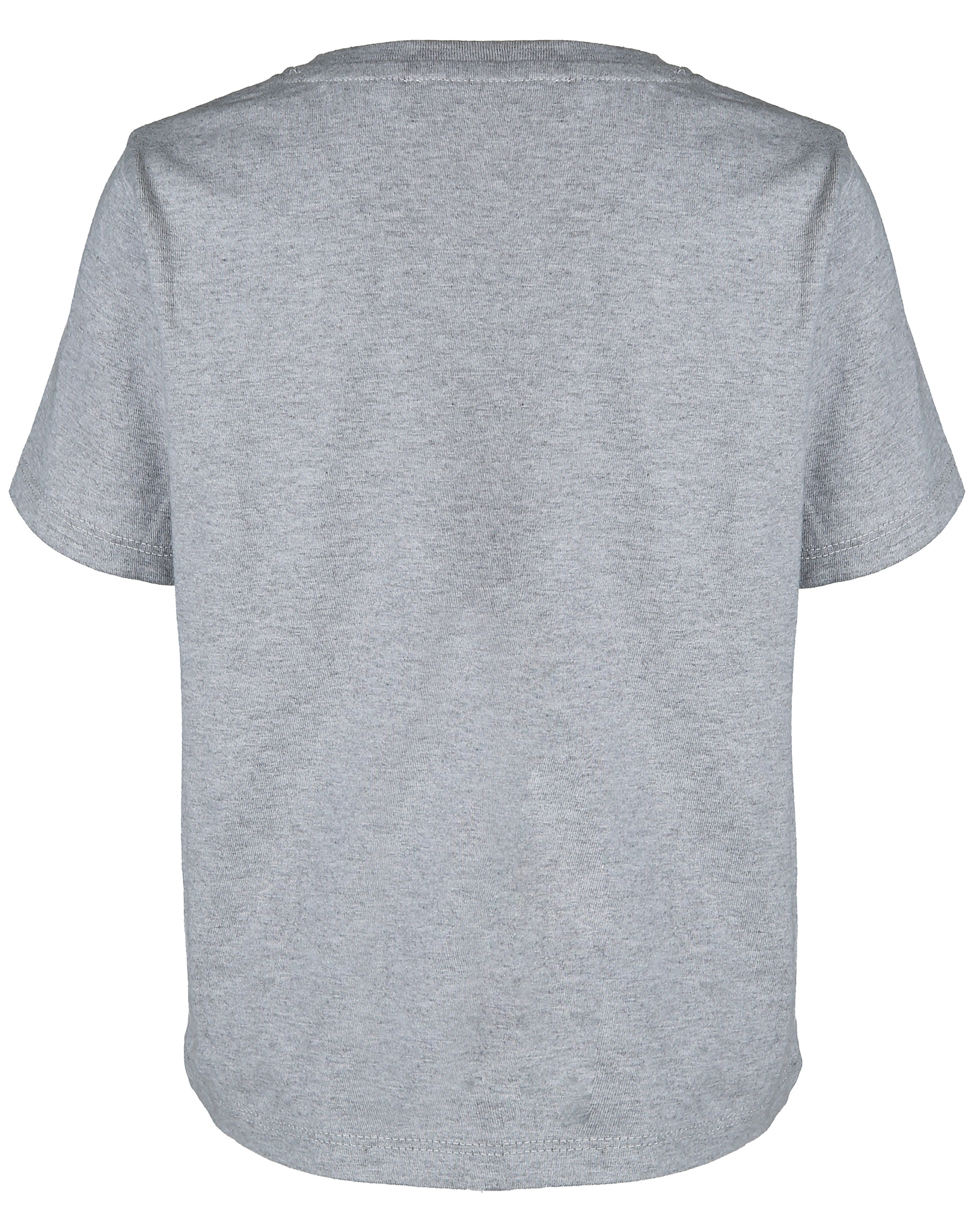 T-Shirt TIGER in grau meliert