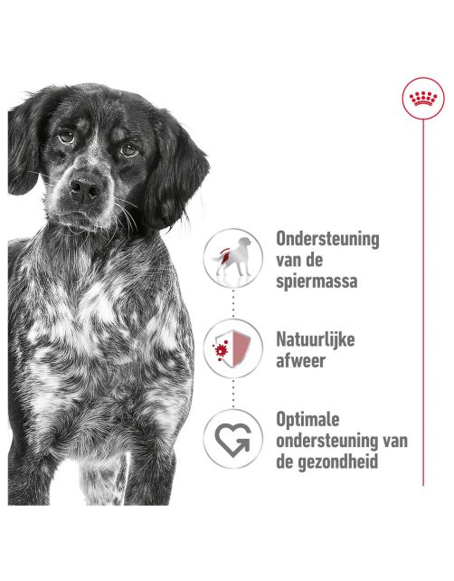 Royal Canin Medium Adult - Hondenvoer