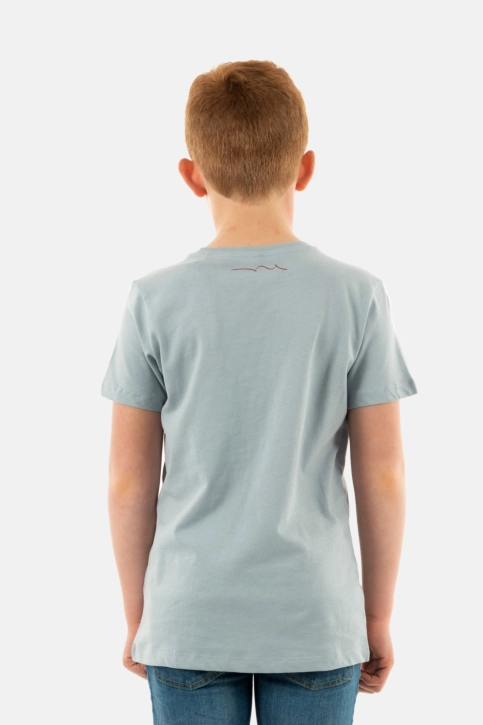 Tee shirts manches courtes teddy smith nark 311a bleached blue
