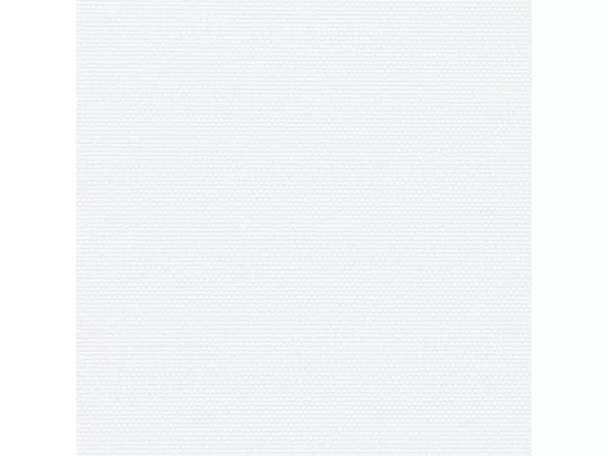 Auvent latéral rétractable blanc 117x300 cm