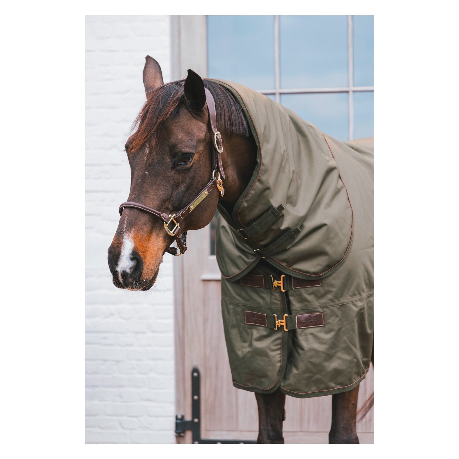 KENTUCKY Halsteil All Weather Pro 150 g - khaki
