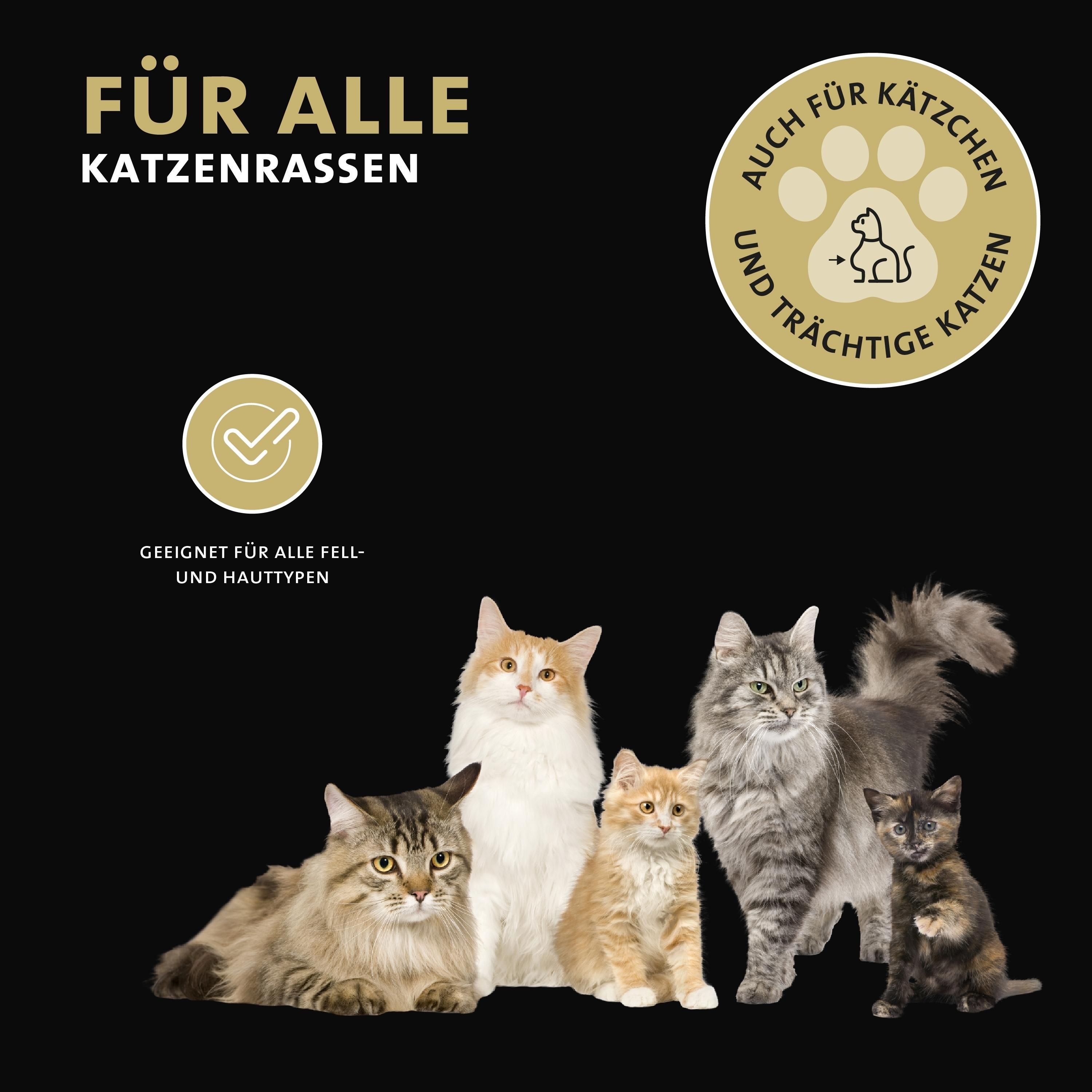 Peticare Anti-Parasiten Katzen-Shampoo gegen Milben Flöhe Pilz, lindert Juckreiz