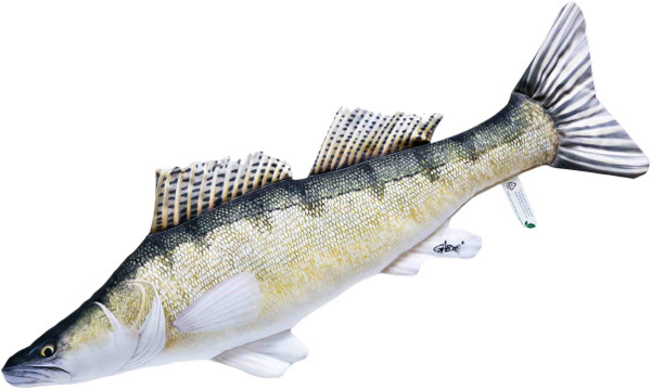 Sandre Gaby The Zander