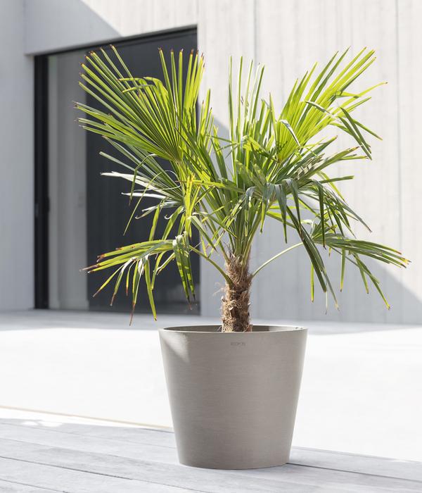 Ecopots Kunststoff-Topf Amsterdam mit