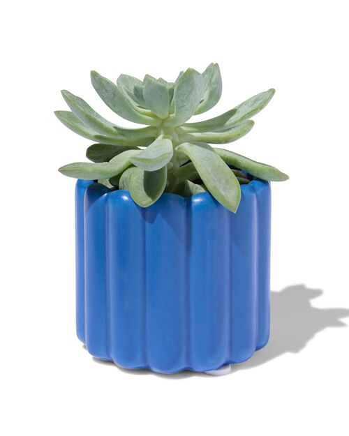 pot de fleurs Ø 6,5 x 7 cm céramique nervuré bleu