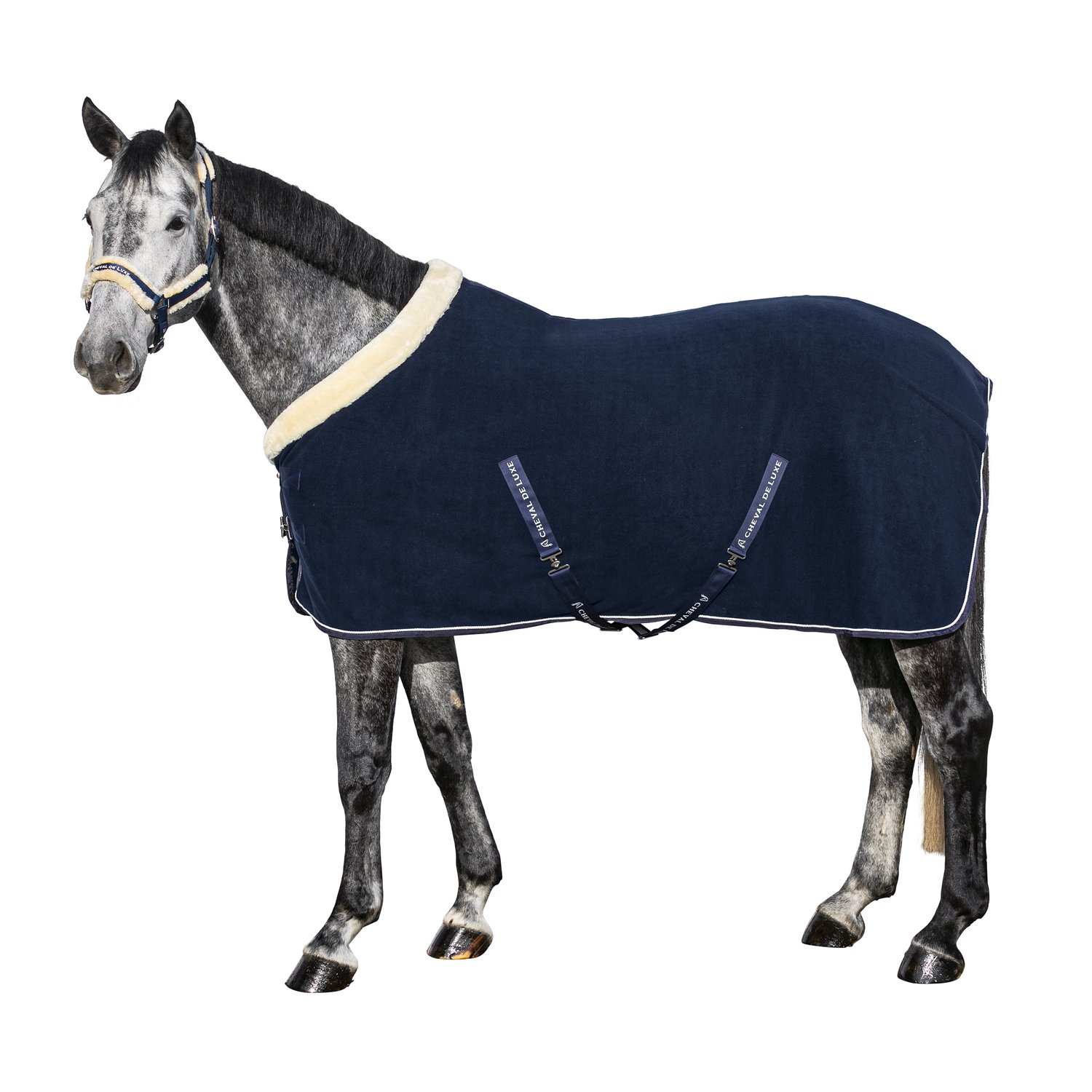 Cheval de Luxe Abschwitzdecke Nantes  - navy
