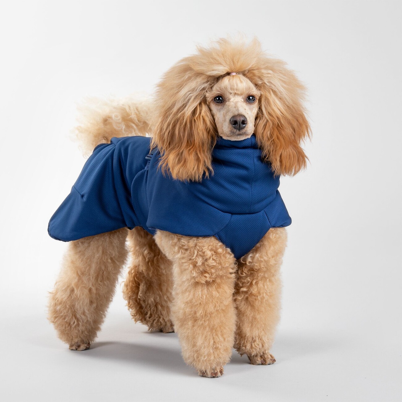 Paikka Drying Coat 2Go navy 30 cm