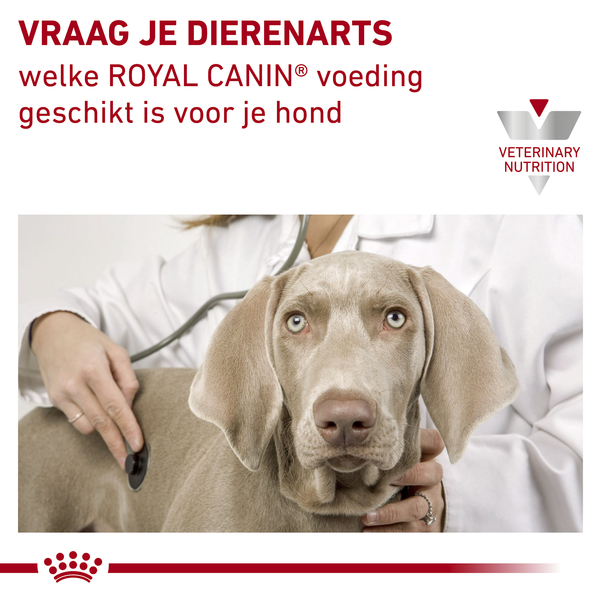 Royal Canin Urinary S/O Moderate Calorie Wet Hond