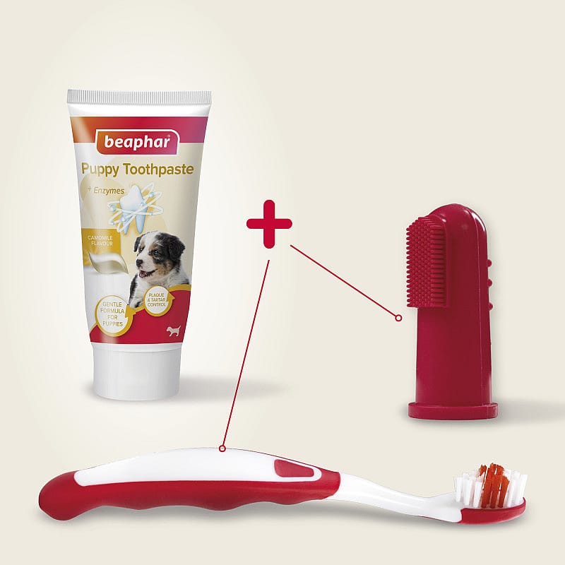 Beaphar Combi-Pack Puppy Tandpasta & Borstel | 13796