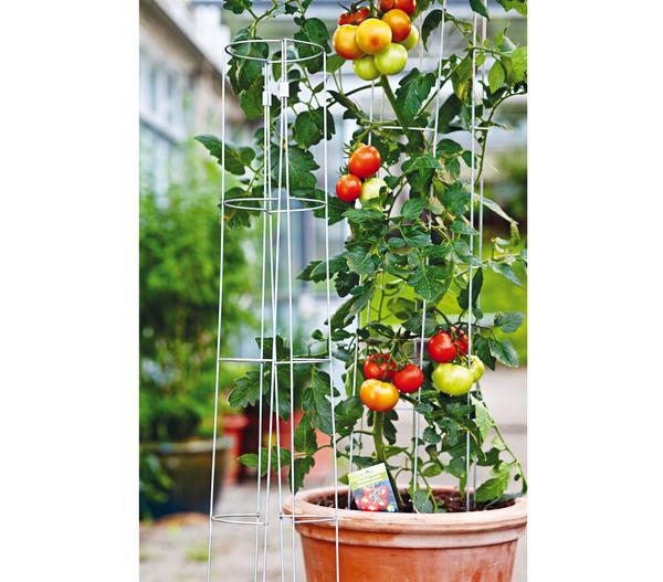 bellissa Tomatenturm
