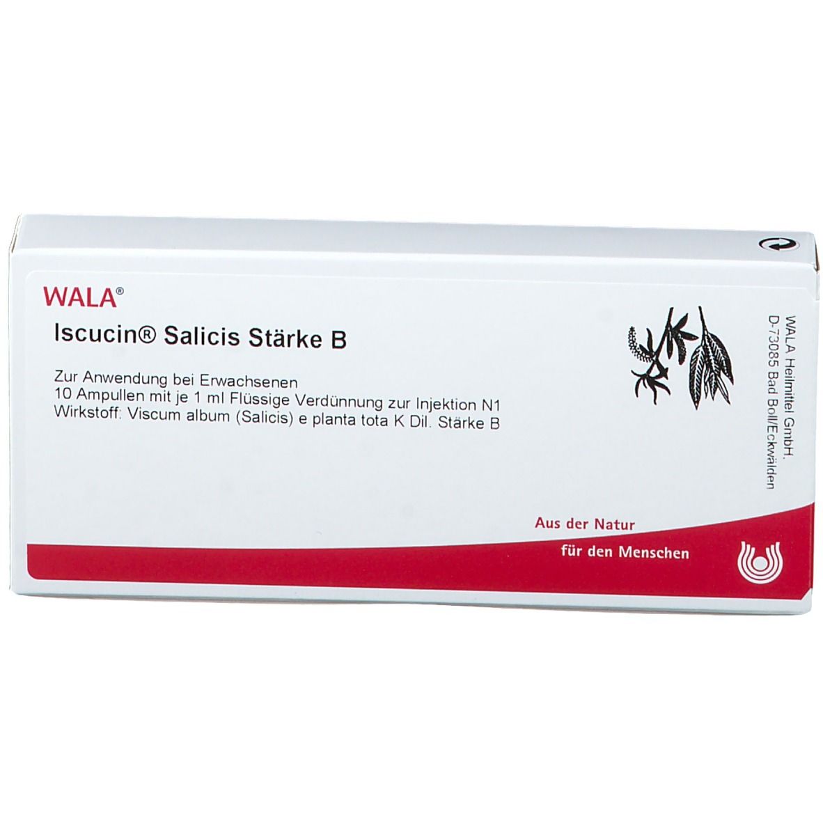 WALA® Iscucin Salicis Staerke B Amp.