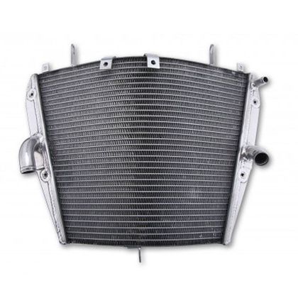 Radiateur Brazoline A EAU ADAPTABLE