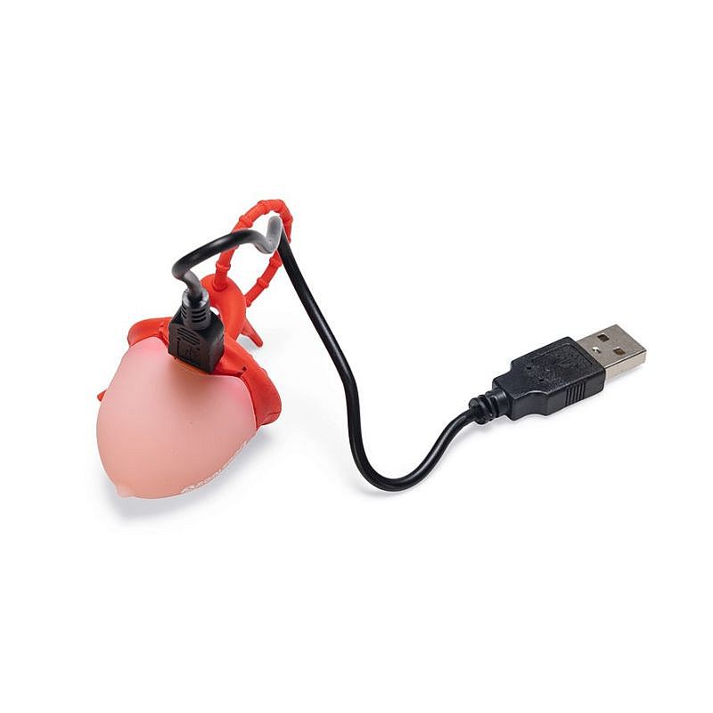 Beeztees Safety Eikel Hondenlamp | 20112