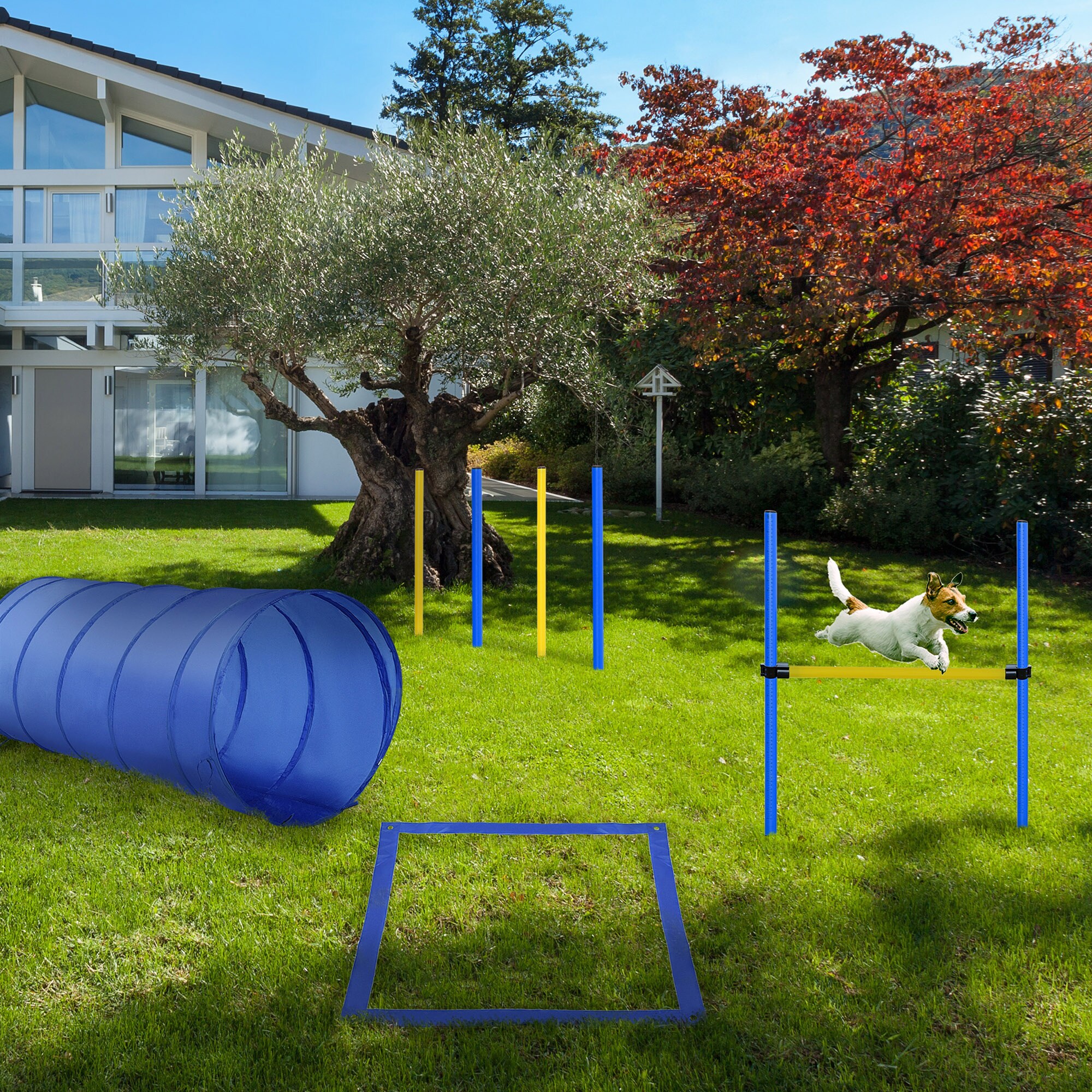 PawHut Hund Agility Set inkl. Tragetasche gelb, blau