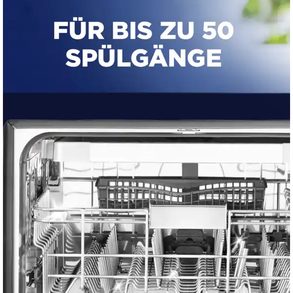 Protector Farb- und Glanzschutz