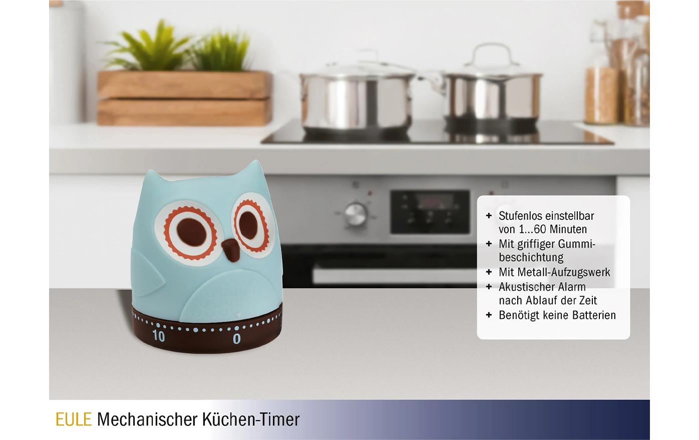Küchentimer Eule TürkisTimer für die Küche in Eule Design