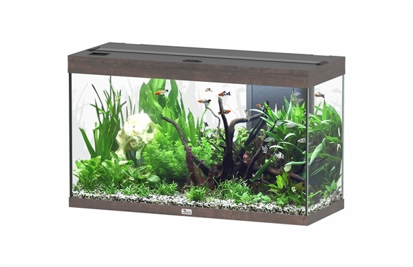 Aquatlantis Splendid 100 aquarium | Inclusief LED en filter
