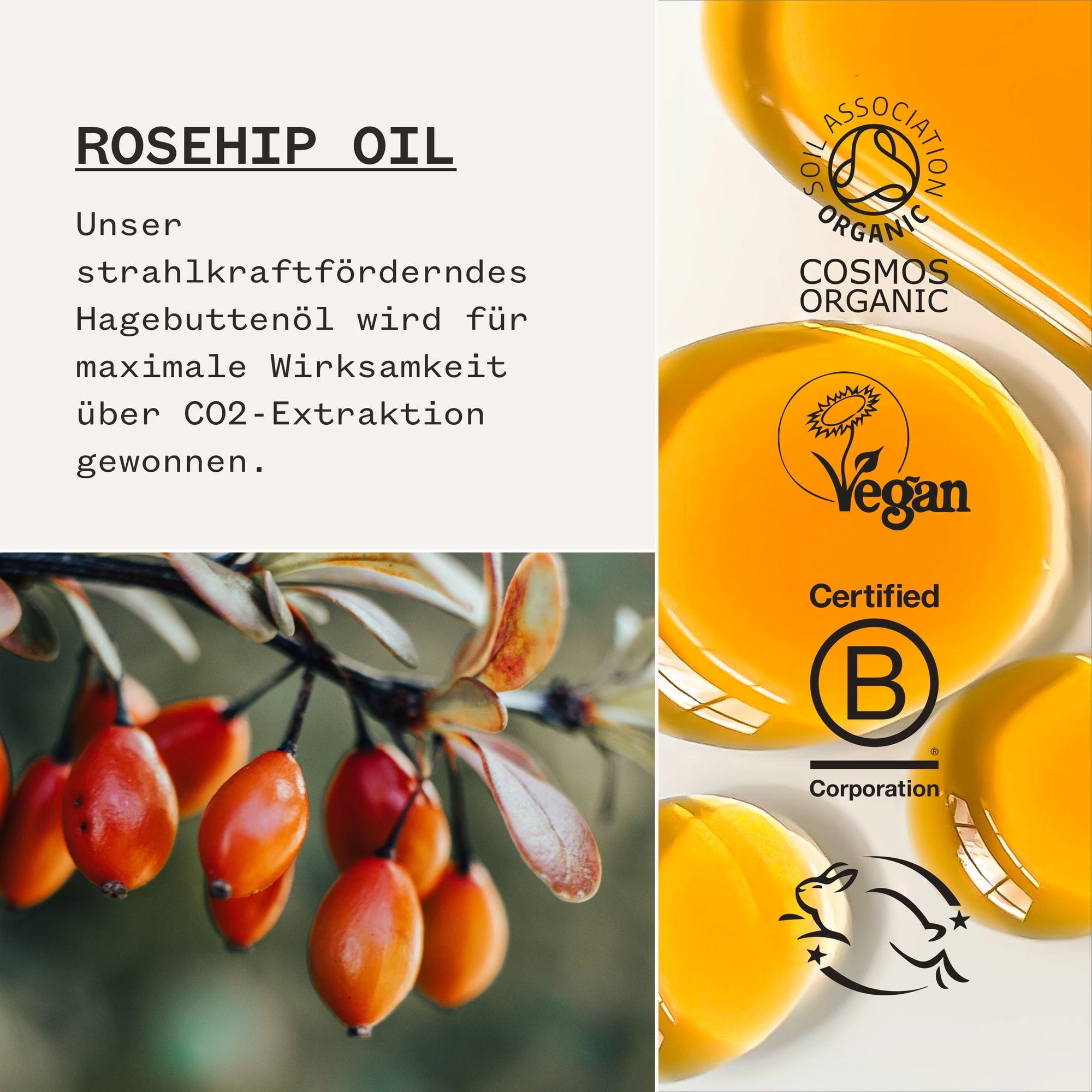 Pai Skincare  Rosehip Bioregenerate Universal Face Oil, 30 ml
