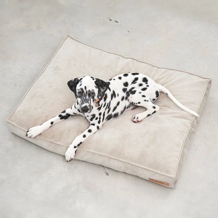 MiaCara - Cordo Hundekissen, L, greige