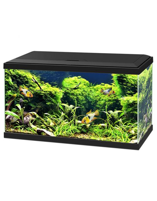 Ciano Aquarium 60 Led Cf80 60x30x34 cm - Aquaria