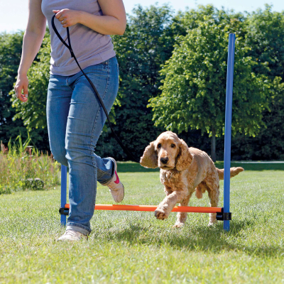 Trixie Activity Agility Hürde