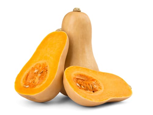 Butternut Kürbis, 1 Stk.