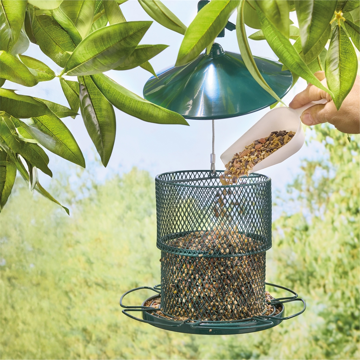 Mangeoire oiseaux