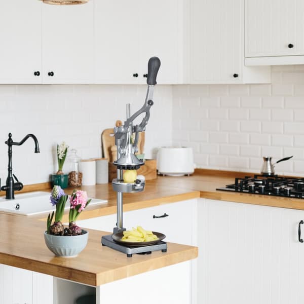 Juicer manuell rustfritt stål
