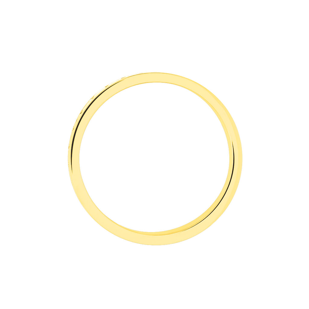 Alliance Raphie Ruban Plat Or Bicolore