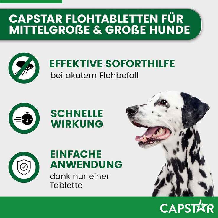 CAPSTAR 57 mg Tabletten für große Hunde, 6 St