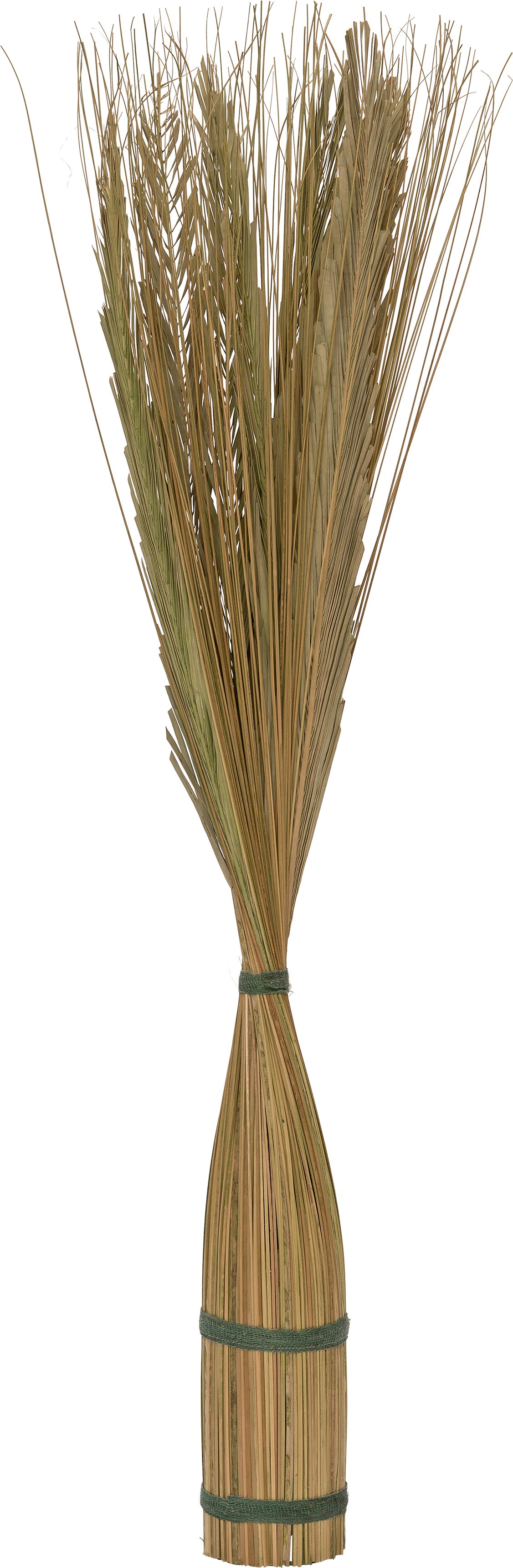 Intratuin decoratie takken groen H 145 cm
