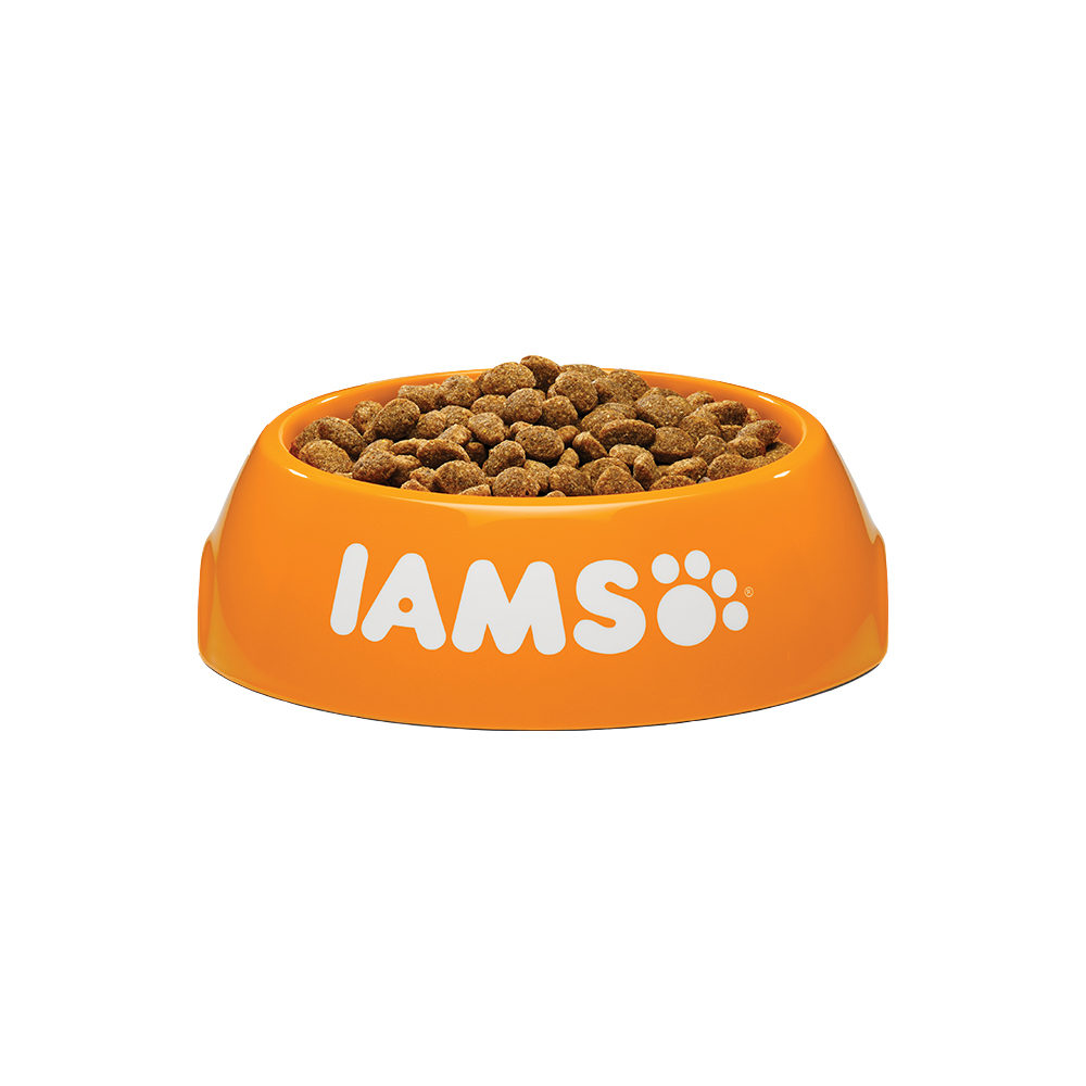 IAMS for Vitality Dog Light in Fat
