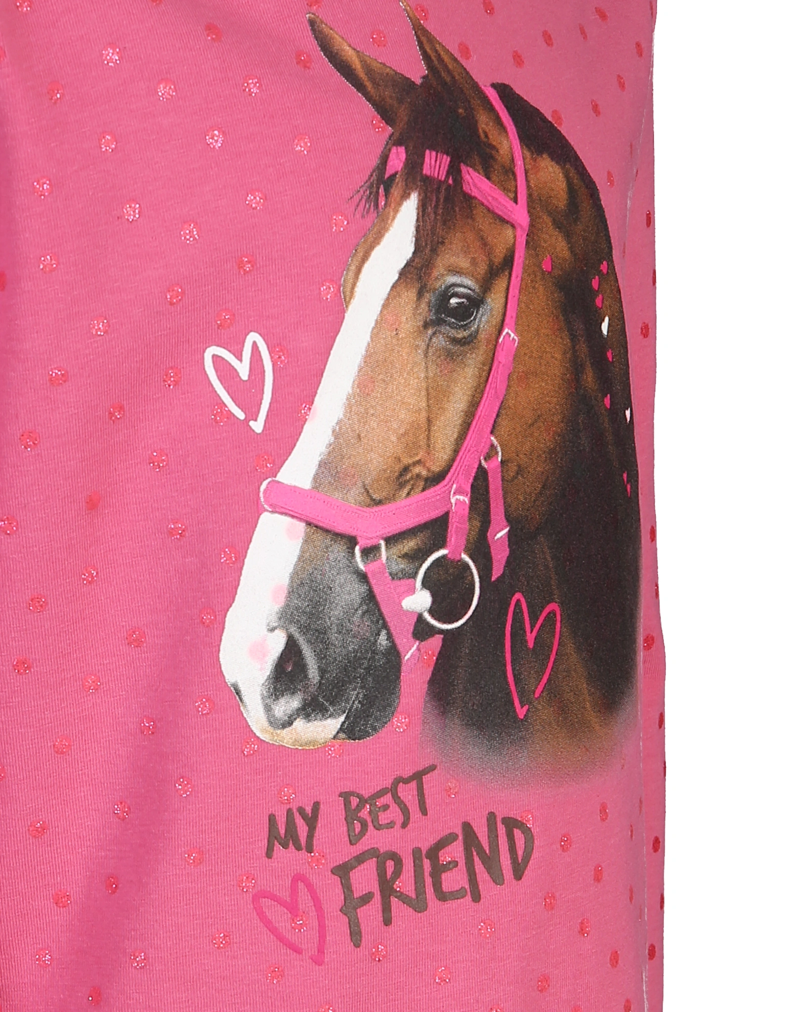 Langarmshirt PFERDEFREUND in pink