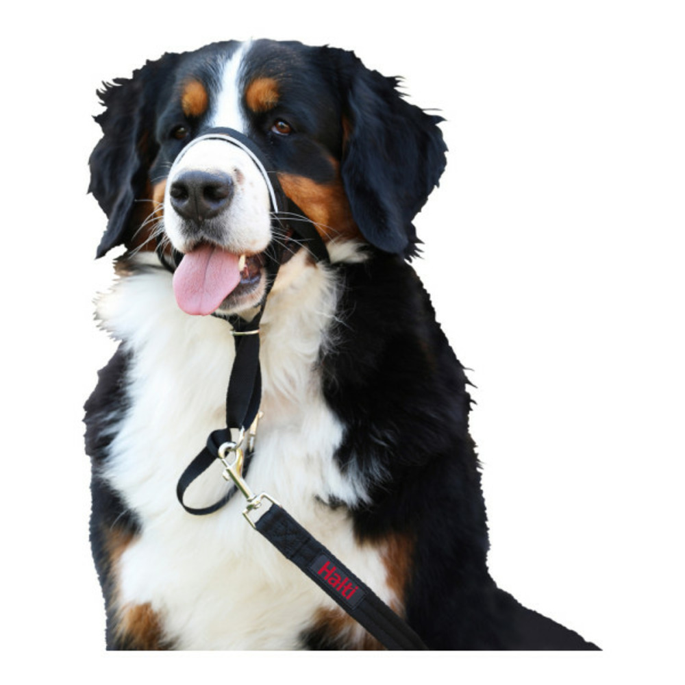 Collier d'entraînement pour chiens halti noir muselière (40-54 cm)