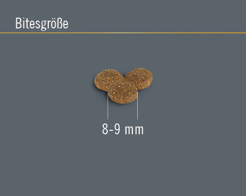 Droog kattenvoer FINEVO Senoir Kat Kip 2 kg