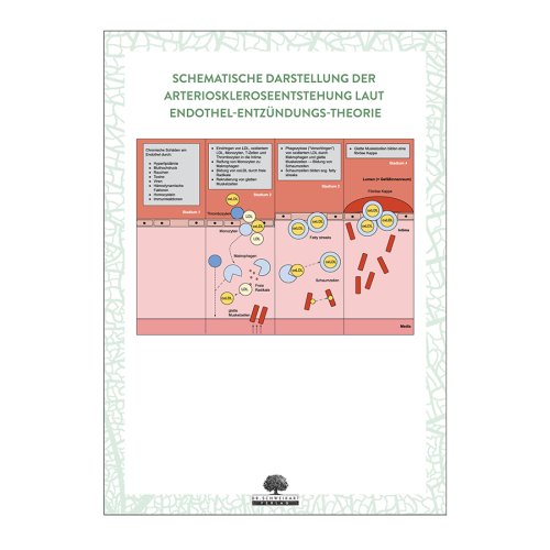 Sunday Natural Products  Hohes Cholesterin natürlich senken mit Mikronährstoffen