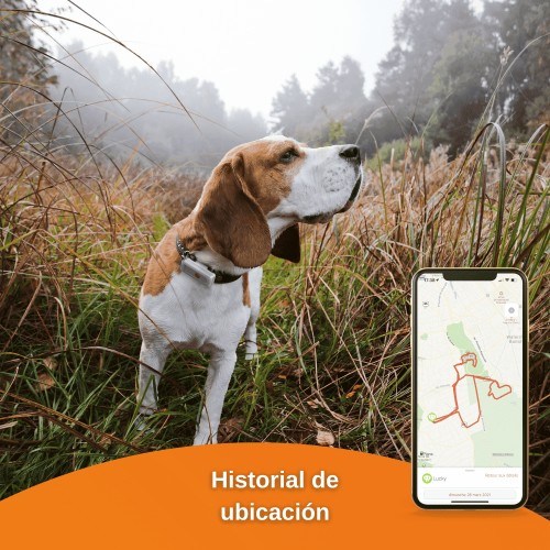 Localizador GPS para cães Weenect Dogs²