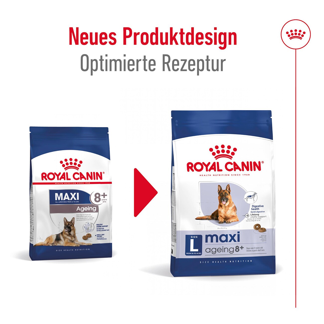 ROYAL CANIN Maxi Ageing 8+ 3 kg